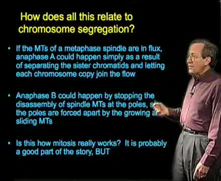 Preview of Separating Duplicated Chromosomes in Preparation for Cell Division: Part 2: Understanding Mitosis through Experimentation (39:02)
