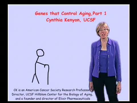 Preview of Genes and Cells that Determine the Lifespan of C. elegans -  Part 1: An Evolutionarily-Conserved Regulatory System for Aging (42:46) 