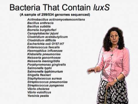 Preview of Cell-Cell Communication in Bacteria by Bonnie Bassler, June 2008 - Part 1: Bacterial Quorum Sensing: Intra- and Inter-Species Communication (53:48)