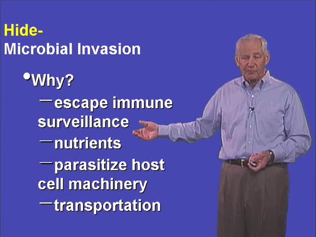 Preview of Host-Pathogen Interaction and Human Disease: Part 1: What is a Pathogen? Trying to Understand Human Biology by the Study of Pathogenic Bacteria (37:48) 